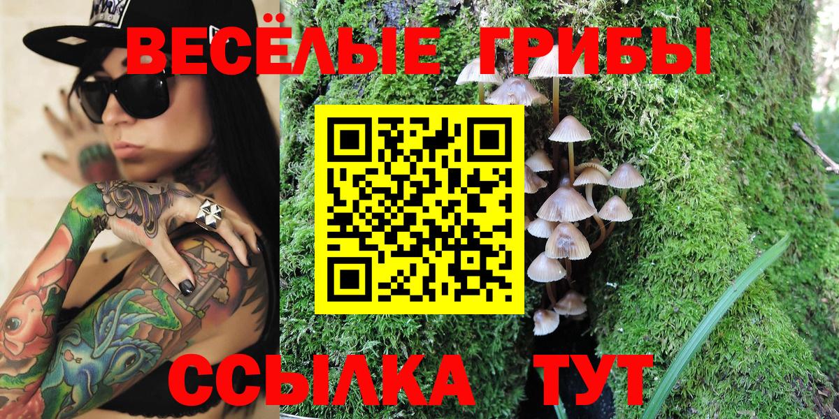 Псилоцибиновые грибы Cubensis  Вход с VPN  Псилоцибиновые грибы мицелий  Можга 